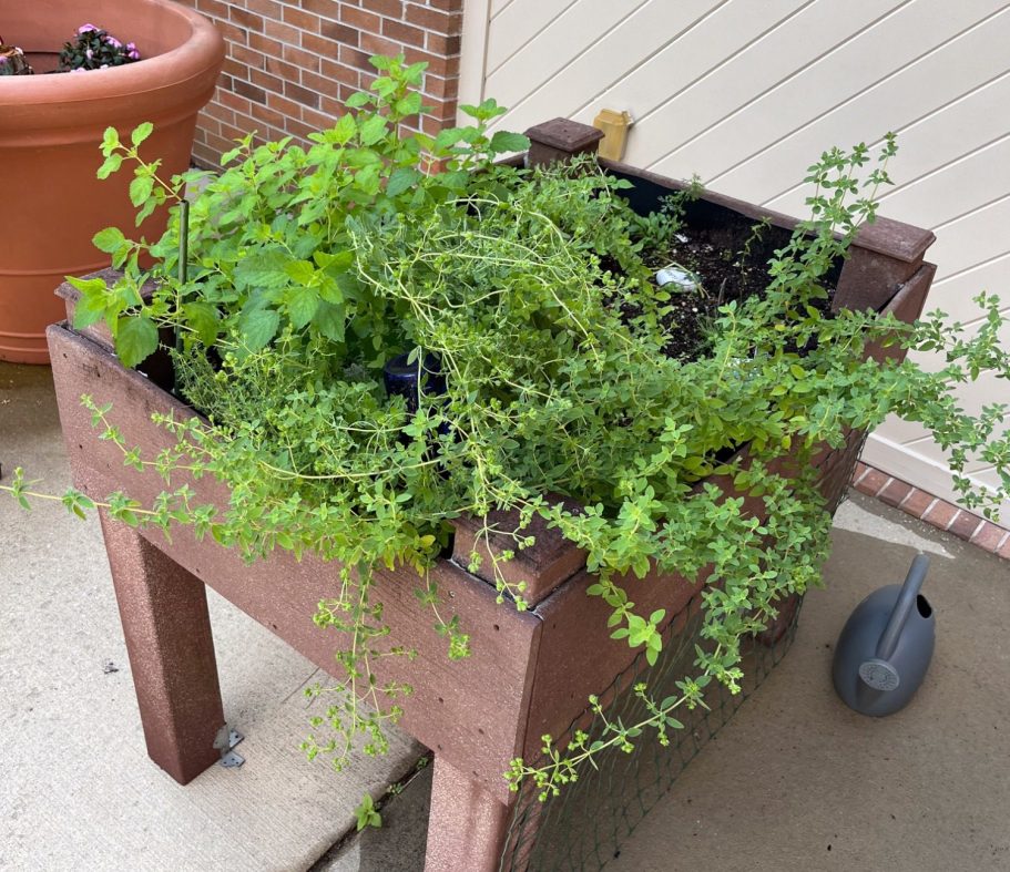 Pre-Existing Herb Bed